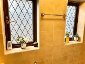 a bathroom with a window with potted plants and a sink at Cosy 2 bedroom Detached House in Central London in London