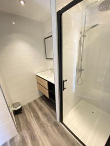 uma casa de banho com um chuveiro e um lavatório. em Grand studio, belle terrasse avec vue em Nantes