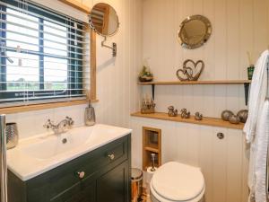 a bathroom with a sink and a toilet at Poppie's Shepherds Hut in Nottingham