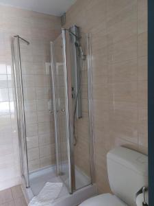 a shower stall in a bathroom with a toilet at Room in Studio - Value Stay Residence Mechelen - Studio Triple in Mechelen