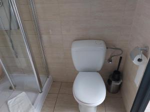 a bathroom with a white toilet and a shower at Room in Studio - Value Stay Residence Mechelen - Studio Triple in Mechelen