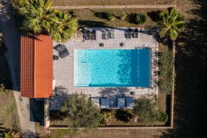 an overhead view of a swimming pool with palm trees at Domaine Castell de Blés in Saint-Genis-des-Fontaines +60 photos