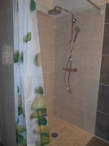 y baño con ducha y cortina de ducha. en Gîte avec jacuzzi privatif dans un mas provençal, en Les Fumades-Les Bains