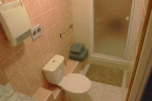 La petite salle de bains est pourvue d'une douche et de toilettes. dans l'établissement La Lune Lake, à Joué-en-Charnie