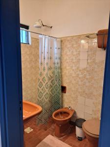 a bathroom with a toilet and a shower at Casa colonial a metros del arroyo Piribebuy in Piribebuy
