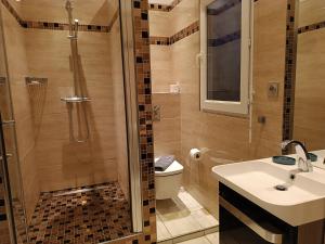 een badkamer met een douche, een wastafel en een toilet bij Appartement centre ville in Rouen