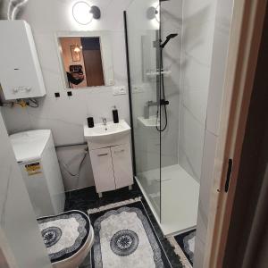 Un baño con ducha, inodoro y lavabo. en Apartament 22 Stycznia 3, en Przemyśl