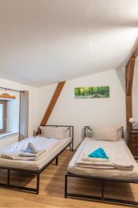 two beds in a room with a attic at Neu renoviert: 11 Zimmer mit großer Wohnküche, mitten in der Natur in Neu Gaarz