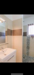 un bagno con lavandino e doccia di Villa les MYRTES a Olmeto Altre 7 foto