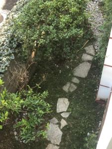 einen Garten mit Felsen und Pflanzen auf dem Boden in der Unterkunft Tafilaj Apartments in Durrës