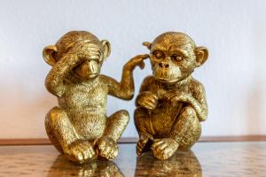 アルジェズールにあるCasa Monkey Businessのギャラリーの写真 +27枚の写真