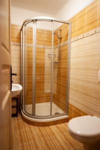 a bathroom with a shower with a toilet and a sink at Penzion Anebel in Luhačovice