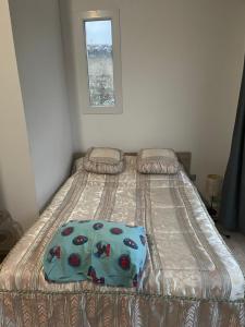 ein großes Bett in einem Schlafzimmer mit Fenster in der Unterkunft Maison T 1 meublé confort proche aéroport in Pusignan