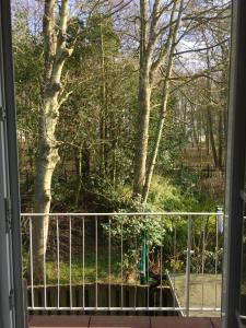 uma janela com vista para um parque com árvores em Haus Bielefeld Ferienwohnung 20 em Norderney