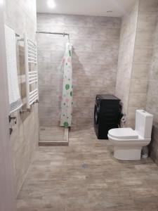 uma casa de banho com um WC e uma cortina de chuveiro em kechi House apart hotel em Tsaghkadzor