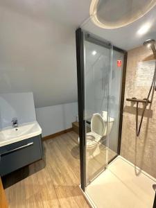 W łazience znajduje się prysznic, toaleta i umywalka. w obiekcie The Annex w mieście Dalbeattie