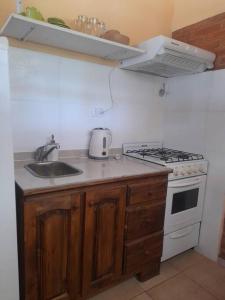 eine Küche mit Spüle und Herd in der Unterkunft cabañas oliv- san rafael-mendoza in San Rafael