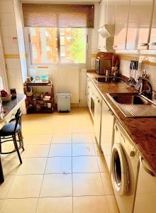 cocina con fregadero y lavadora en Suite del Manzanares en Madrid, en Madrid