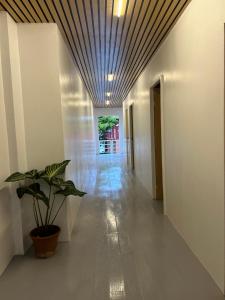 a hallway with a potted plant and a ceiling at Mar Azul Travellers Inn and SPA in San Remigio