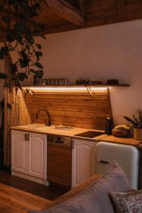 a kitchen with a sink and a stove top oven at Bohema in Sierpnica