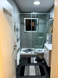 een badkamer met een douche en een toilet bij Luxury Apartment in Neu Ulm