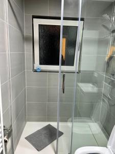 een badkamer met een douche, een toilet en een raam bij Luxury Apartment in Neu Ulm