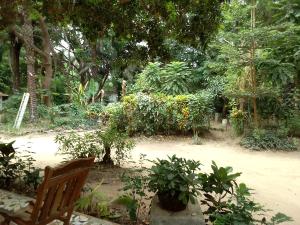 un banc en bois dans un jardin avec des arbres et des plantes dans l'établissement Campement Kunja, à Kafountine