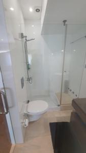 a bathroom with a toilet and a glass shower at Macrisbete 4 in Fátima