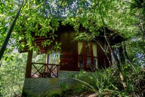 Sinharaja Rest في دينيايا: منزل شجرة في وسط الغابة