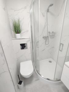 a white bathroom with a shower and a toilet at White Apartament Szklarska Poręba in Szklarska Poręba