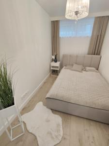a white bedroom with a bed and a plant at White Apartament Szklarska Poręba in Szklarska Poręba