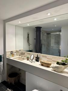 a bathroom with a sink and a large mirror at Suite4SerenityRWY in Plymouth
