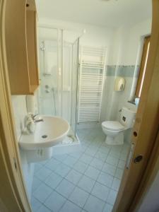 een badkamer met een wastafel, een douche en een toilet bij Casa Vacanza La Grotta in Gallicano