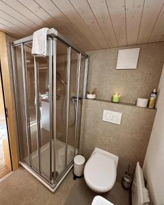 a bathroom with a shower and a toilet at Meieli's Chalet in Hofstetten 