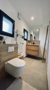 a bathroom with a toilet and a large mirror at Le Chalet de la Plage in Sévrier