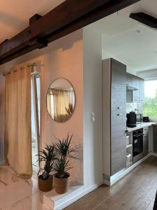 una cocina con 2 macetas y un espejo en Magnifique appartement de charme en Besançon