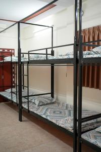 Làng MeにあるTom's House Motel & Motorbikesの寮の部屋にある二段ベッドのグループ