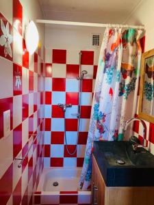 a bathroom with a red and white checkered shower curtain at Les hirondelles in Ollon