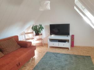 ein Wohnzimmer mit einem Sofa und einem Flachbild-TV in der Unterkunft Denkmal-Ferienhaus in Dresden-Hellerau mit Sauna und Kamin in Dresden