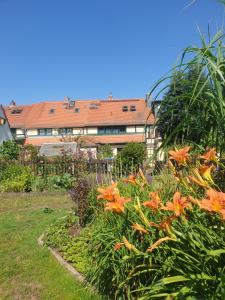 Vườn quanh Denkmal-Ferienhaus in Dresden-Hellerau mit Sauna und Kamin