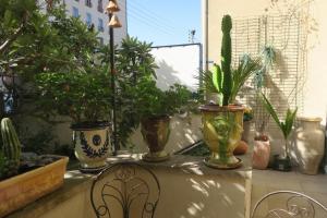 Zdjęcie z galerii obiektu tombe la nèfle w Awinionie
