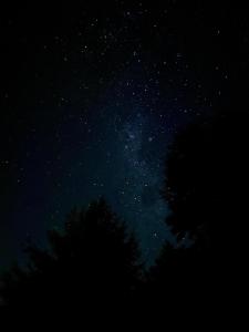 een sterrennacht met een boom op de voorgrond bij Cabaña frente al Lago Lanalhue in Lago Lanalhue