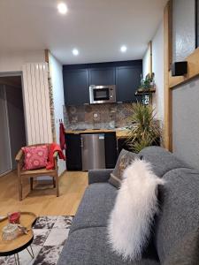 ein Wohnzimmer mit einem Sofa und einer Küche in der Unterkunft STUDIO 2 ALPES STYLE CHALET au PIED DE TELESIEGE DU DIABLE in Les Deux Alpes