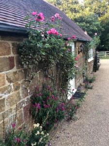 a stone wall with pink roses growing on it at The Grooms Den in Fenny Compton