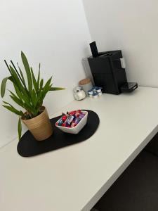 a table with a plant and a bowl of candy at Studio-Apartment in zentraler Lage in Graz