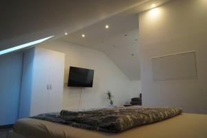 Schlafzimmer mit einem Bett und einem Flachbild-TV in der Unterkunft Apartment Gars am Inn in Gars am Inn