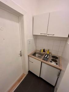 a small kitchen with a sink and a stove at Studio-Apartment in zentraler Lage in Graz