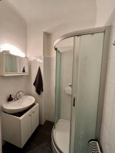 a small bathroom with a shower and a sink at Studio-Apartment in zentraler Lage in Graz