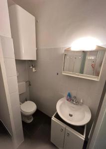 a small bathroom with a toilet and a sink at Studio-Apartment in zentraler Lage in Graz