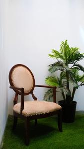 a chair and a plant in a room at Di Costa Hotel in Piura